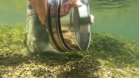 BBC A pair of hands holds a silver strainer underwater against the flow of the chalk stream to capture particulates in the current