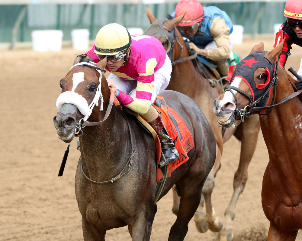 Download app from appStore