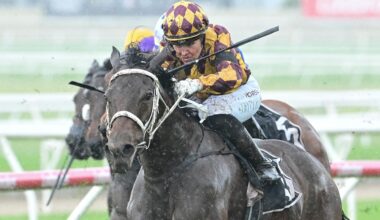 Good karma for trainer after losing star filly