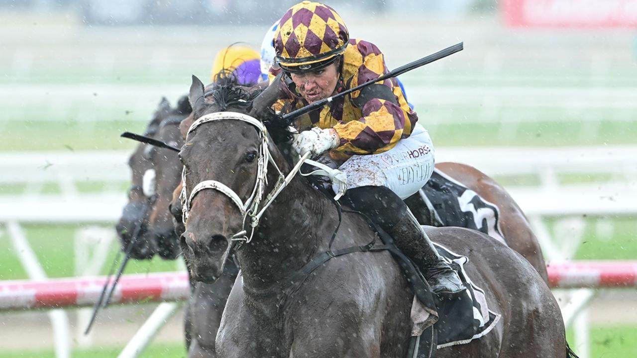Good karma for trainer after losing star filly