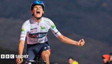 Giulio Pellizzari wins stage 17