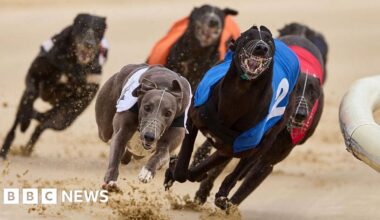 Greyhound racing ban backed by Scottish government