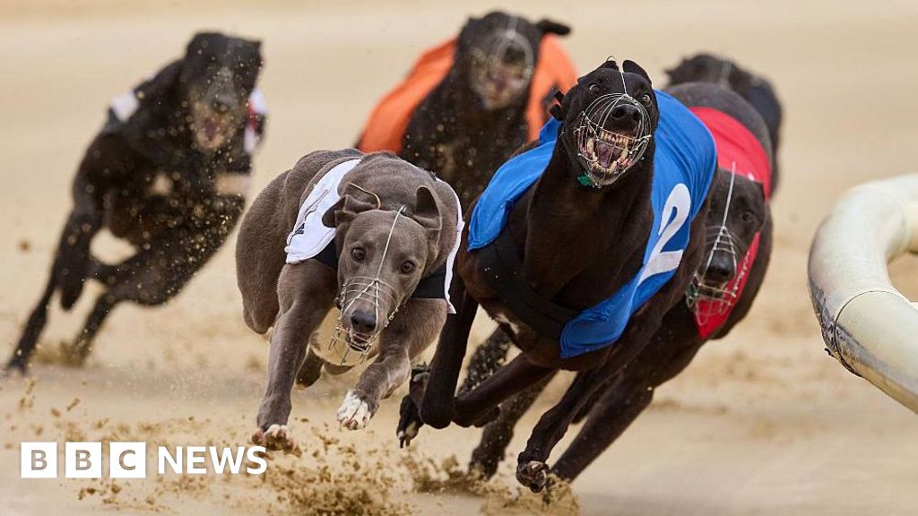 Greyhound racing ban backed by Scottish government