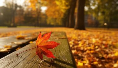 Fall 2025 Travel: Explore New York, London, Rome and More Destinations for Unique Experiences