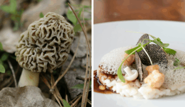 Scientists Warn Of ALS Risk From Popular Superfood Loved By The Wealthy