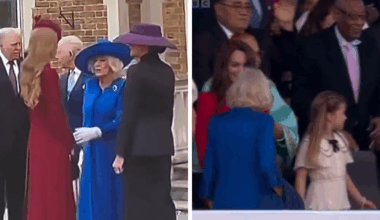 Princess Charlotte’s Curtsy Mistake Resurfaces After…