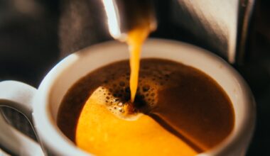 How Europe’s deforestation law could change the global coffee trade