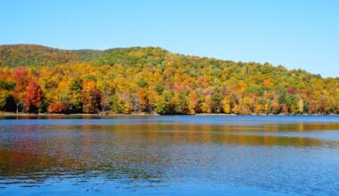 How environmental RNA can give us a real-time picture of freshwater biodiversity