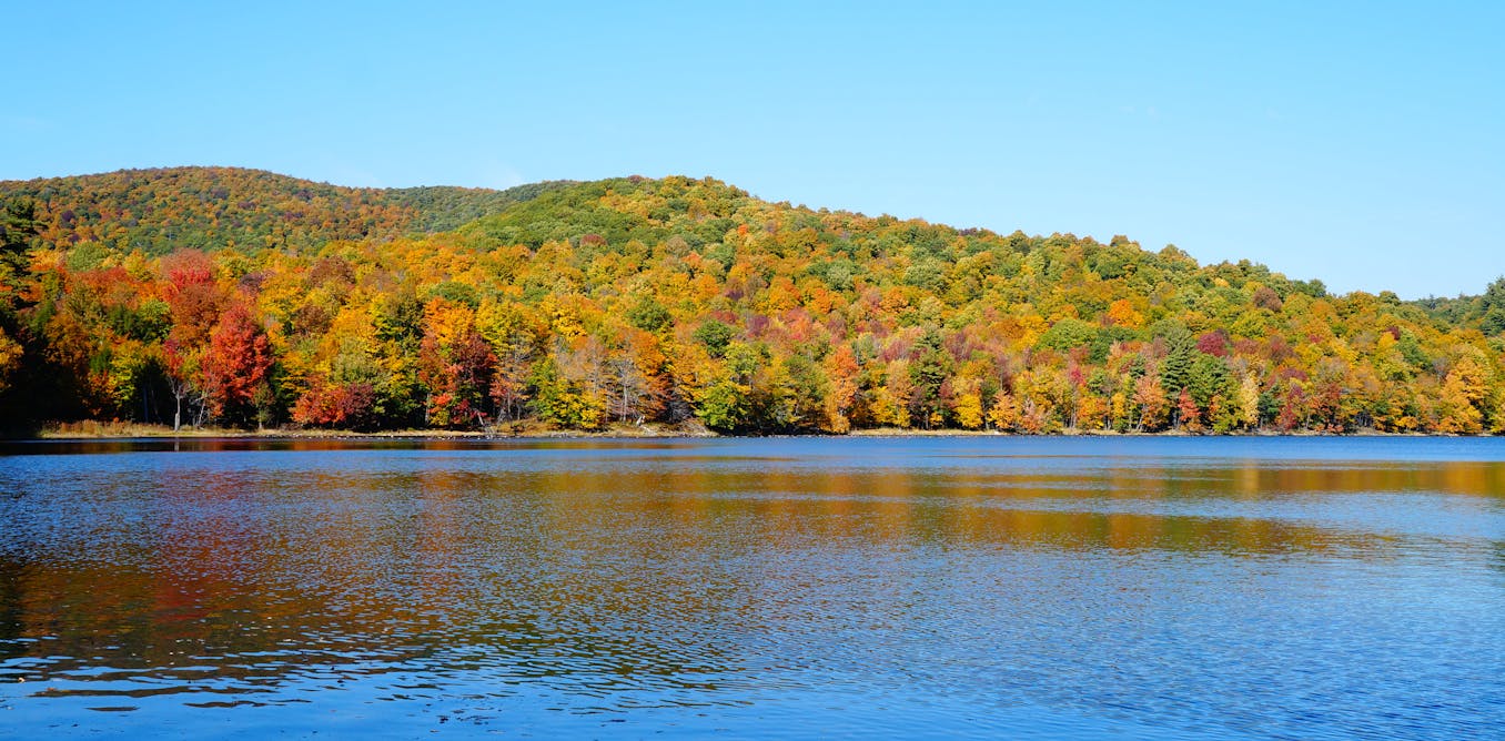 How environmental RNA can give us a real-time picture of freshwater biodiversity