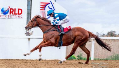 Anticipation builds for Horse of the Season reveal