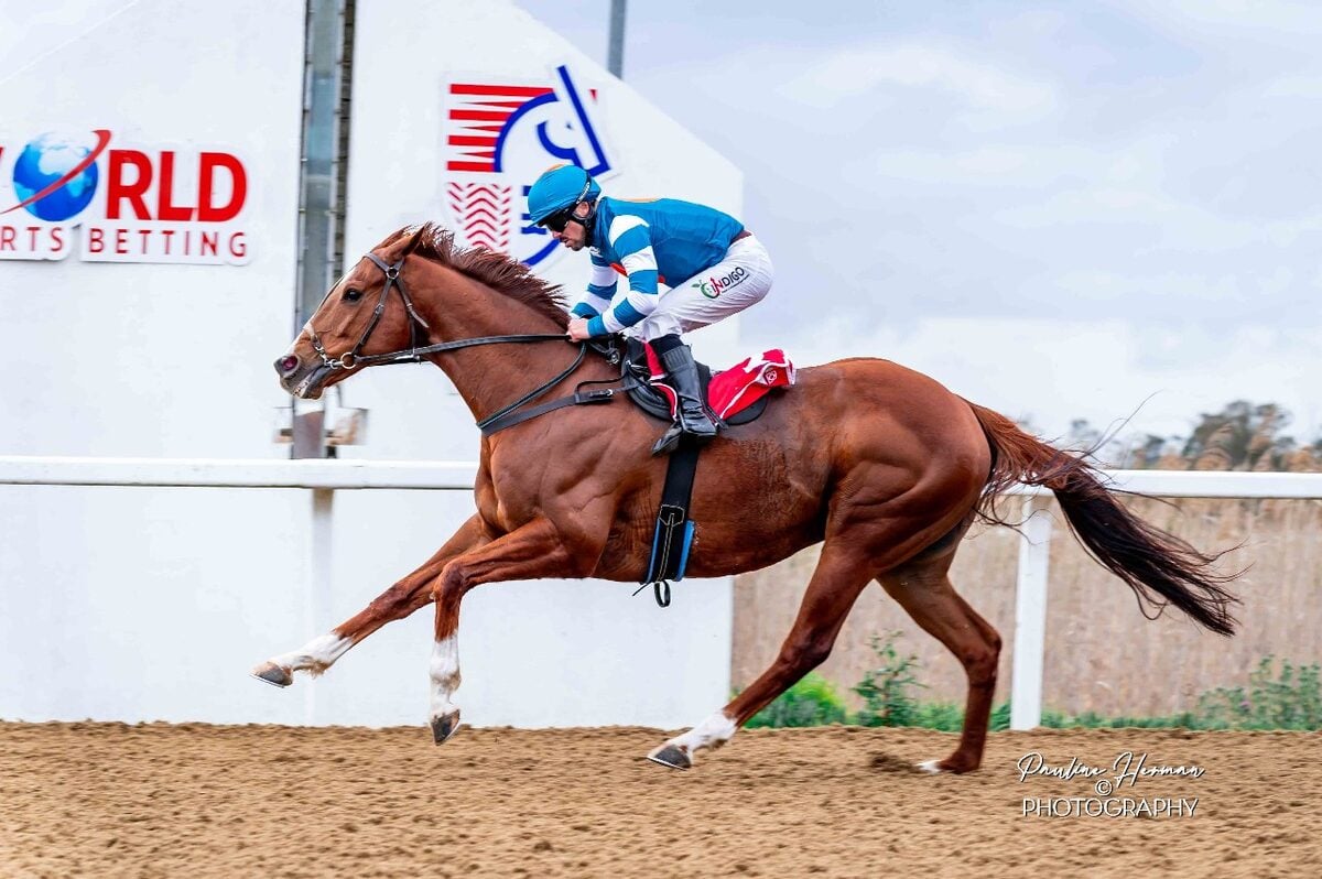 Anticipation builds for Horse of the Season reveal
