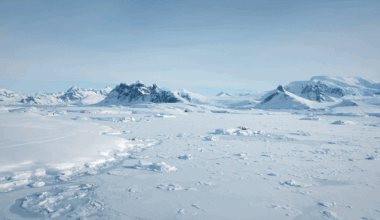 What Happened During Flat-Earthers' "Final Experiment" In Antarctica