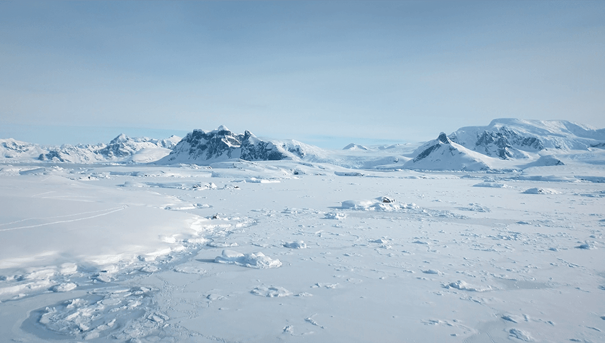 What Happened During Flat-Earthers' "Final Experiment" In Antarctica