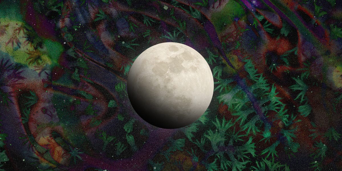 Lunar Eclipses Explained, According to an Astrologer