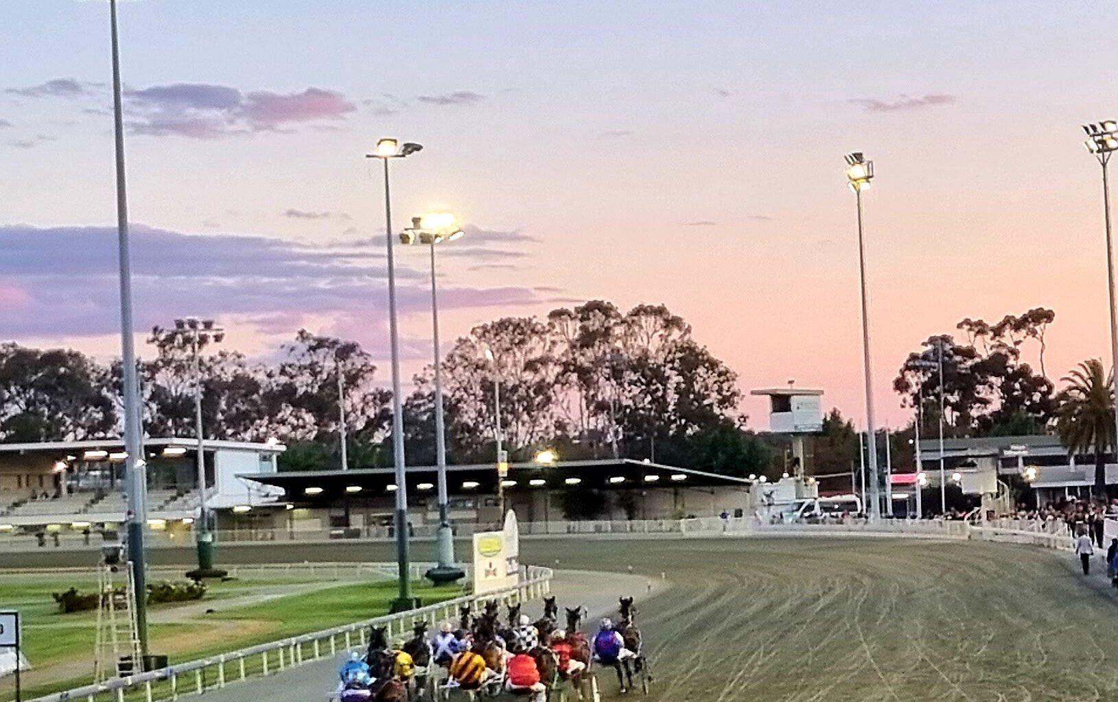Gloucester Park Harness Racing