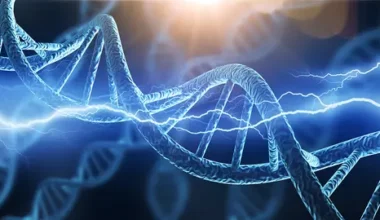 The flaws in the blueprint of life