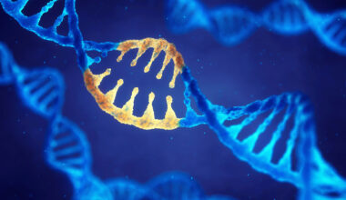 Inherited Variants in 16 Genes May Double the Risk of Multiple Primary Cancers