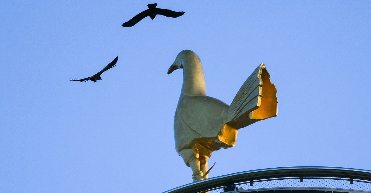 Son of Lord Ashcroft buys £100m of Tottenham shares