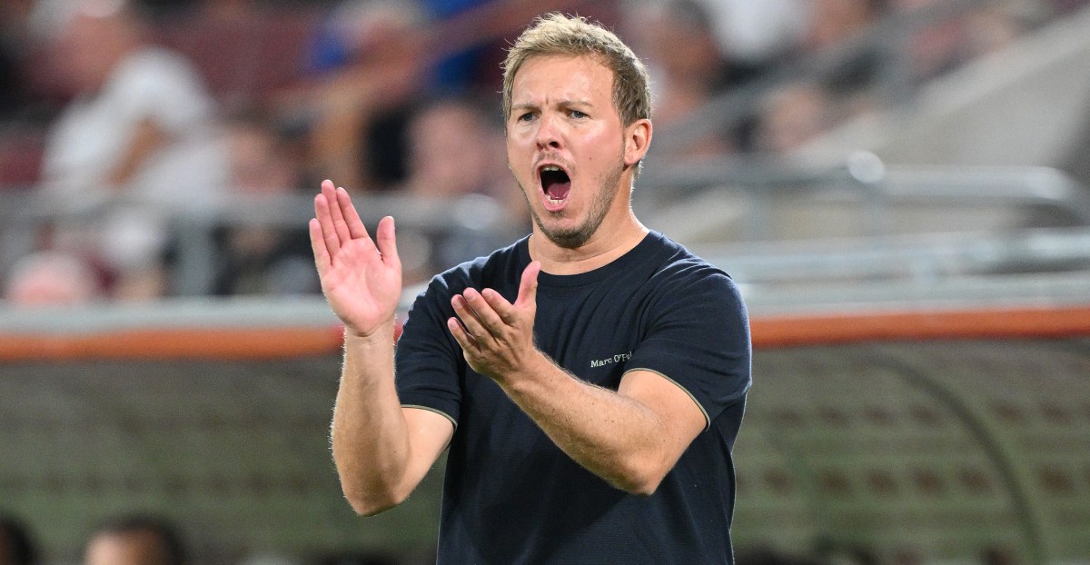 Julian Nagelsmann pleased with substitute contributions in Germany’s 3-1 win over Northern Ireland