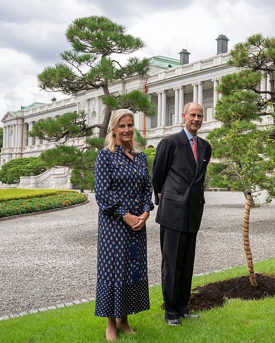 sophie duchess of edinburgh half up hair