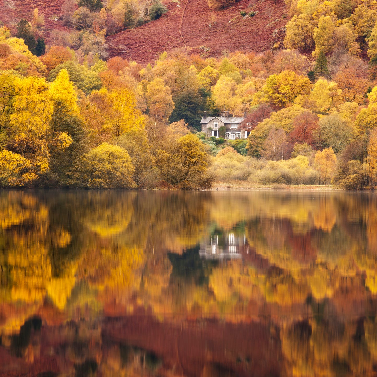 still lakeside reflections at grasmere in the lake district, cumbria, england, uk