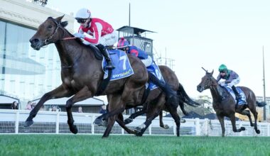 Niance aiming to continue sharp rise up the ranks in stacked Moir Stakes