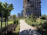 Daylight samples, ultrawide camera (0.5x), 24MP - f/2.2, ISO 40, 1/770s - Apple iPhone 17 Pro Max review