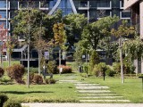 Daylight samples, telephoto camera (4x), 24MP - f/2.8, ISO 50, 1/475s - Apple Iphone 17 Pro Max review