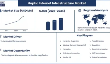 Haptic Internet Infrastructure Market Revenue Statistics