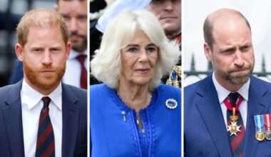 Prince Harry & William's Relationship Queen Camilla Now
