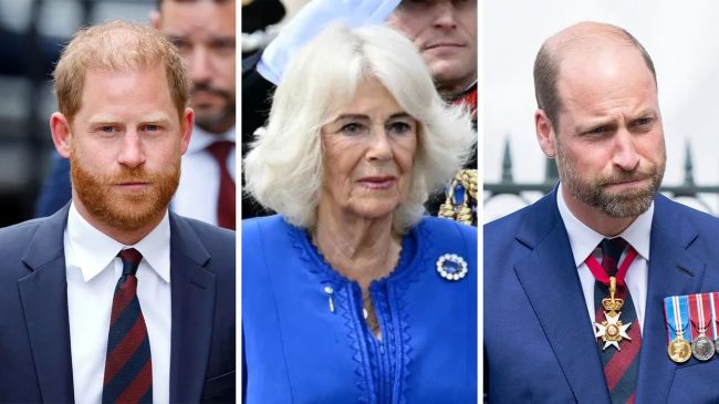 Prince Harry & William's Relationship Queen Camilla Now