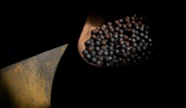 A container partially filled with small, round graphite pellets sits in shadow at the Northern Graphite mine plant.