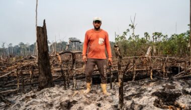 A man standing amid the burned remains of tropical forest