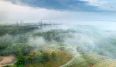 Field of high voltage transmission poles In the morning, it was foggy.