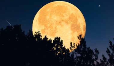 Rare October full moon will be first supermoon of 2025