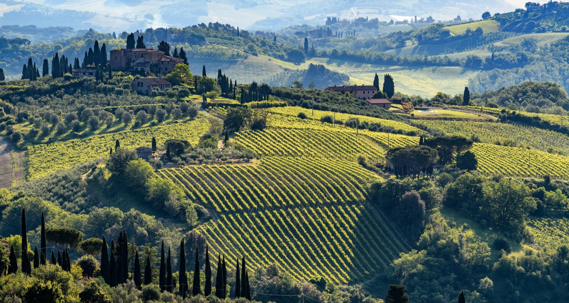 Hors Bordeaux tasting notes: Italy and Spain (reds)