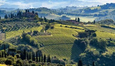 Hors Bordeaux tasting notes: Italy and Spain (reds)