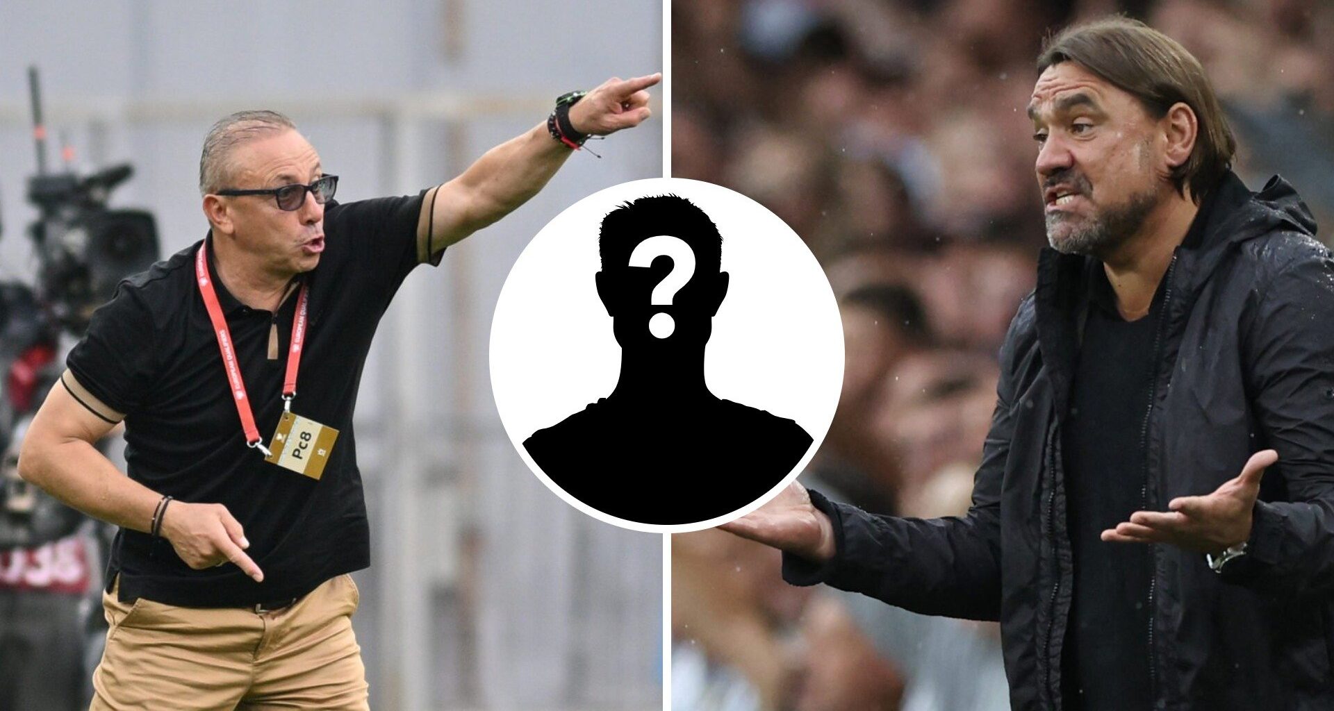 Crisis emerging for Daniel Farke as Leeds United star injured with National Team, he 'played with problems'