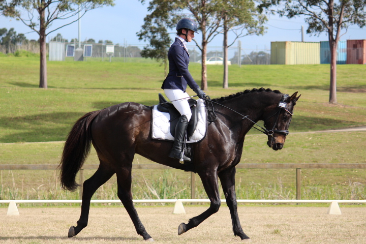 Loafing and Lucy all dressed up for dressage