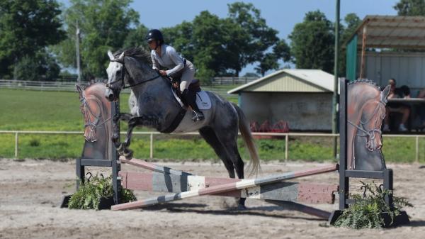 Thoroughbred Makeover Diary: October Plans Set for Gray Magician and Imposing Ruler