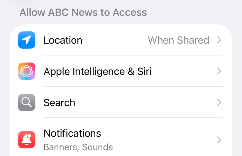 iOS app settings panel.