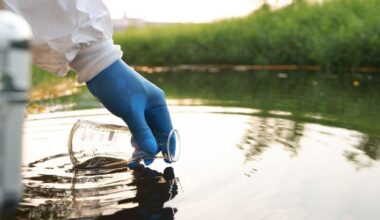 How Does the European Environmental Agency Track Pollution?