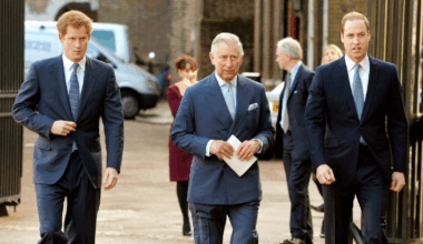 Prince William's Strong Opinion on Harry’s Meeting With Charles