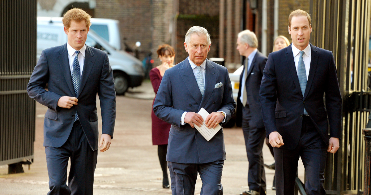 Prince William's Strong Opinion on Harry’s Meeting With Charles