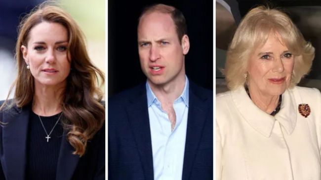 Prince William's Response to Kate Middleton & Queen Camilla Feud Rumors