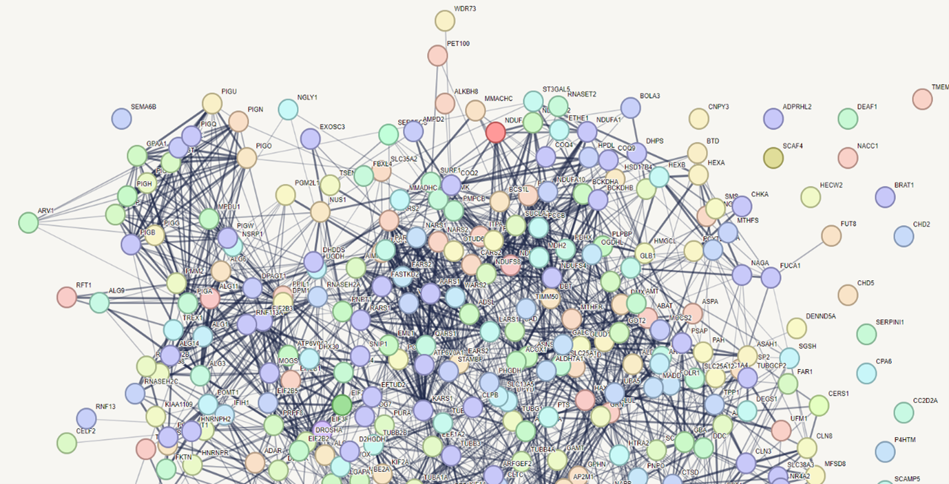 Kini Group Image.png