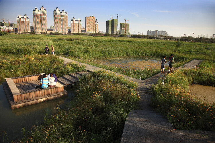 Kongjian Yu, Creator of the Sponge City Concept, Passes Away in Brazil Plane Crash - Image 6 of 6