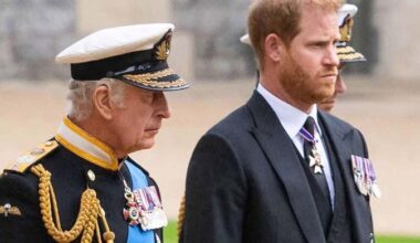 Disturbing verdict issued about Prince Harry's clearance to King Charles' closet skeletons