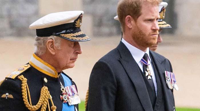 Disturbing verdict issued about Prince Harry's clearance to King Charles' closet skeletons