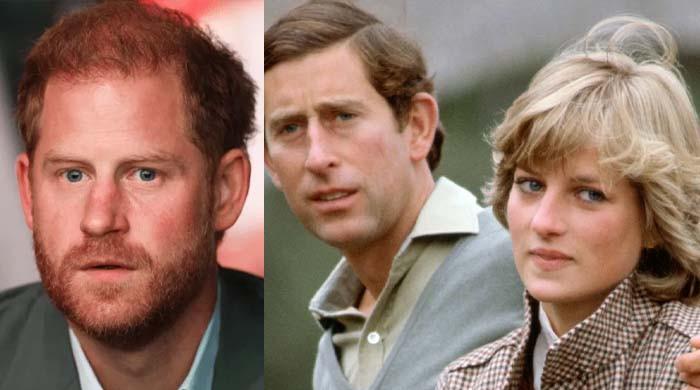Prince Harry to dissect King Charles marriage to Diana in Netflix documentary